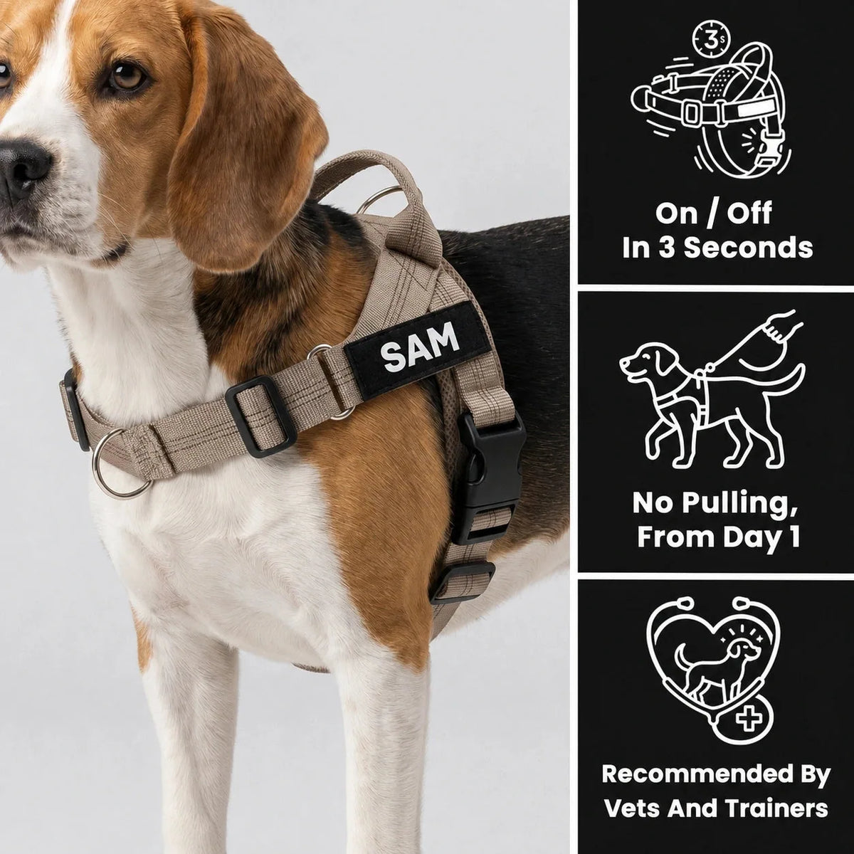 Beagle portant le harnais MyDogGrip avec médaillon SAM et trois avantages