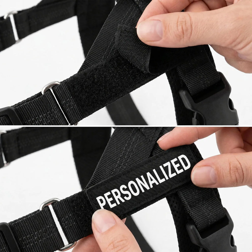 Médaillon à scratch personnalisable du harnais MyDogGrip