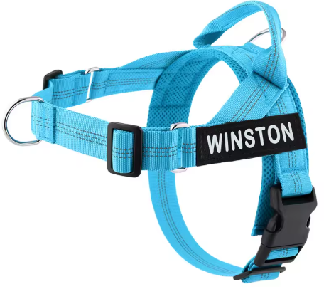 Harnais MyDogGrip bleu turquoise