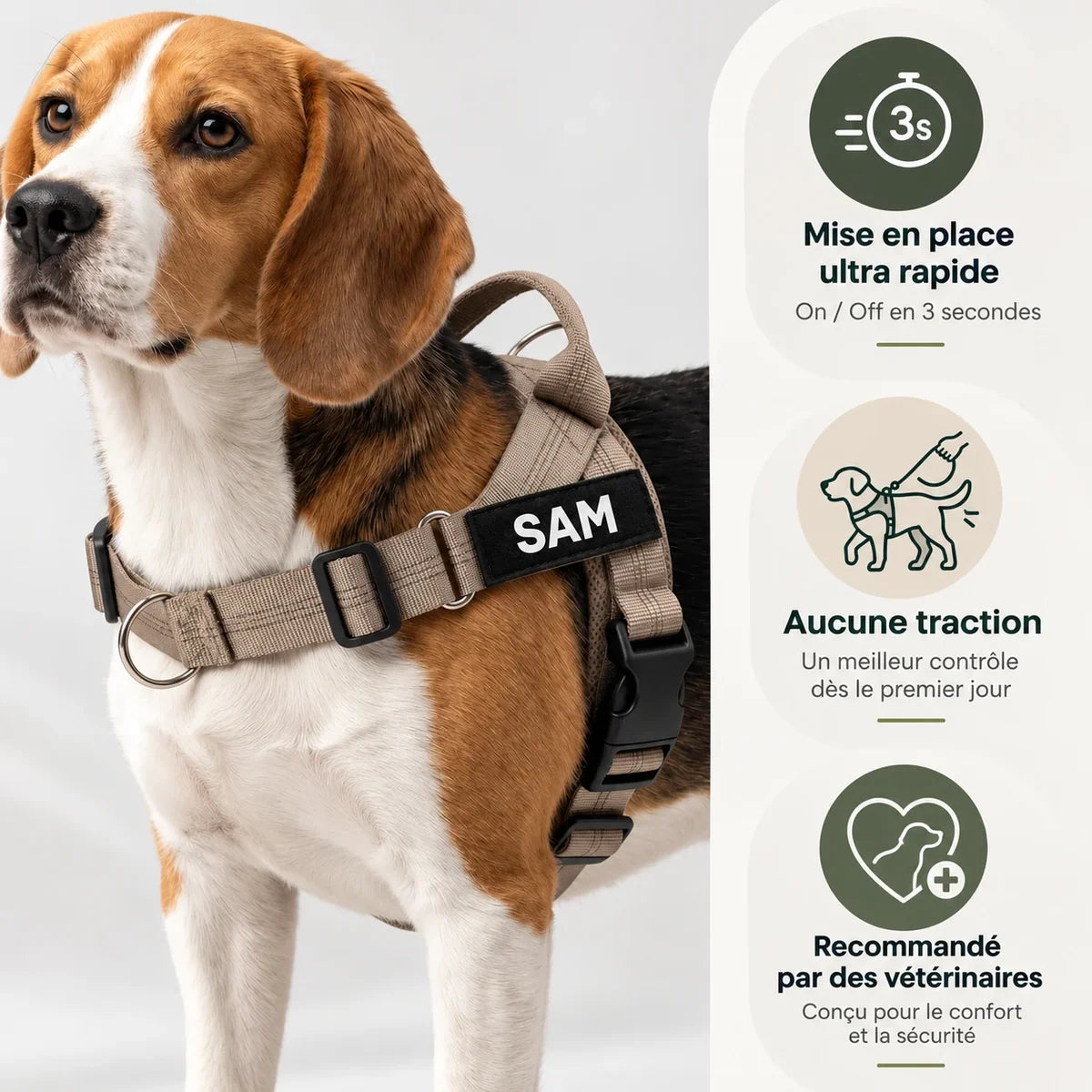 Beagle wearing the MyDogGrip harness with a SAM patch and three key benefits
