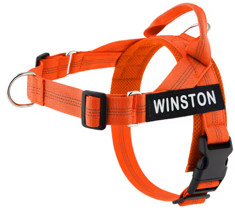 Harnais MyDogGrip orange