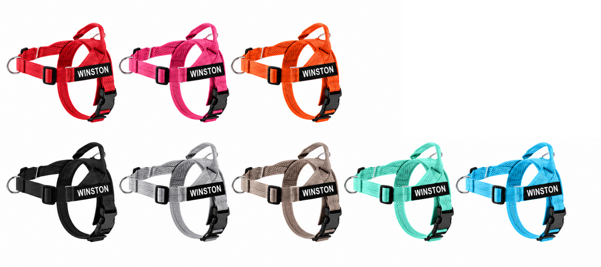 Les coloris du harnais MyDogGrip anti-traction personnalisé
