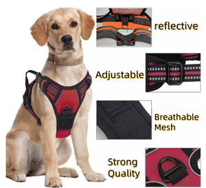 Harnais MyDogGrip porté : bandes réfléchissantes, sangles réglables, maille respirante, anneau métallique