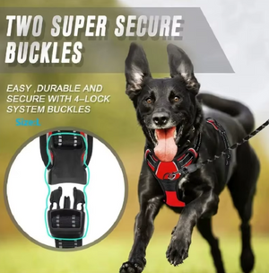 Les deux boucles de sécurité du harnais MyDogGrip